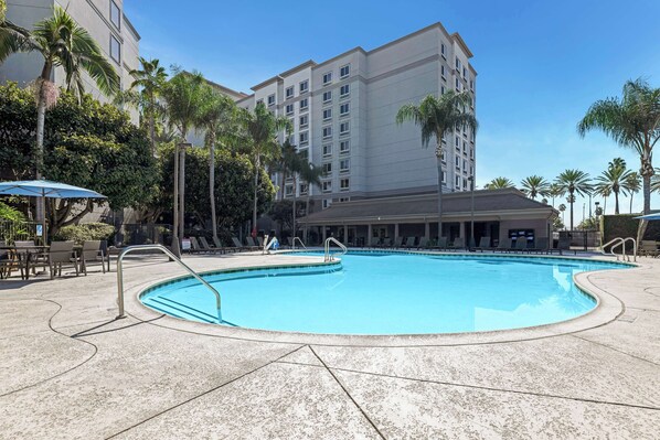 A swimming pool with a concrete deck, surrounded by palm trees and lounge chairs.