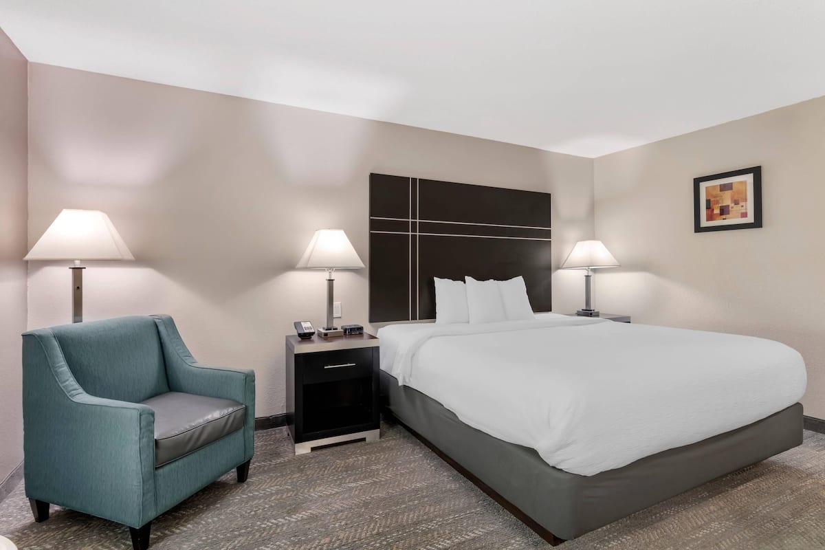 Room, 1 King Bed, Accessible, Non Smoking | 1 bedroom, premium bedding, pillowtop beds, desk
