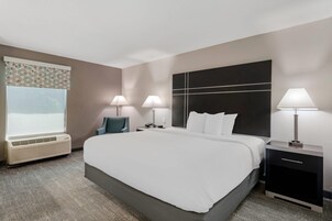Quarto, 1 cama King, acessível, para não fumantes | 1 quarto, roupas de cama premium, camas com colchões pillow-top