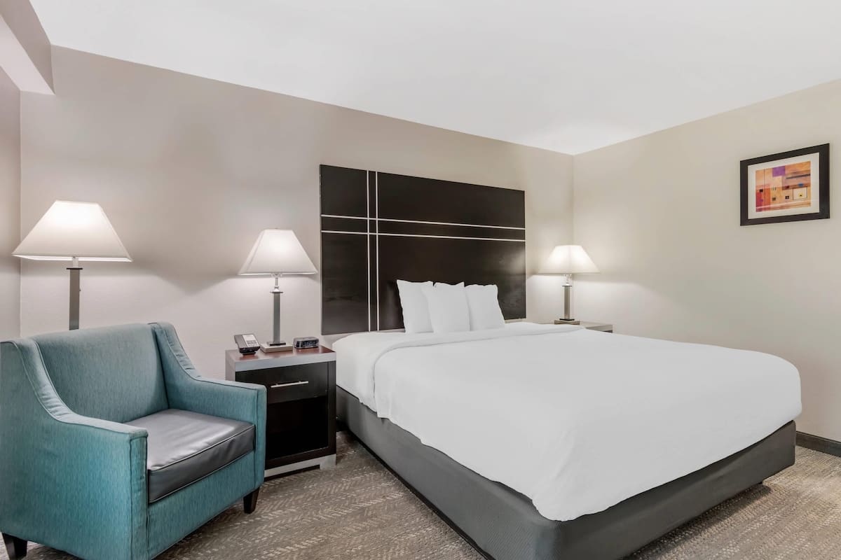 Standard Room, 1 King Bed, Non Smoking | 1 bedroom, premium bedding, pillowtop beds, desk