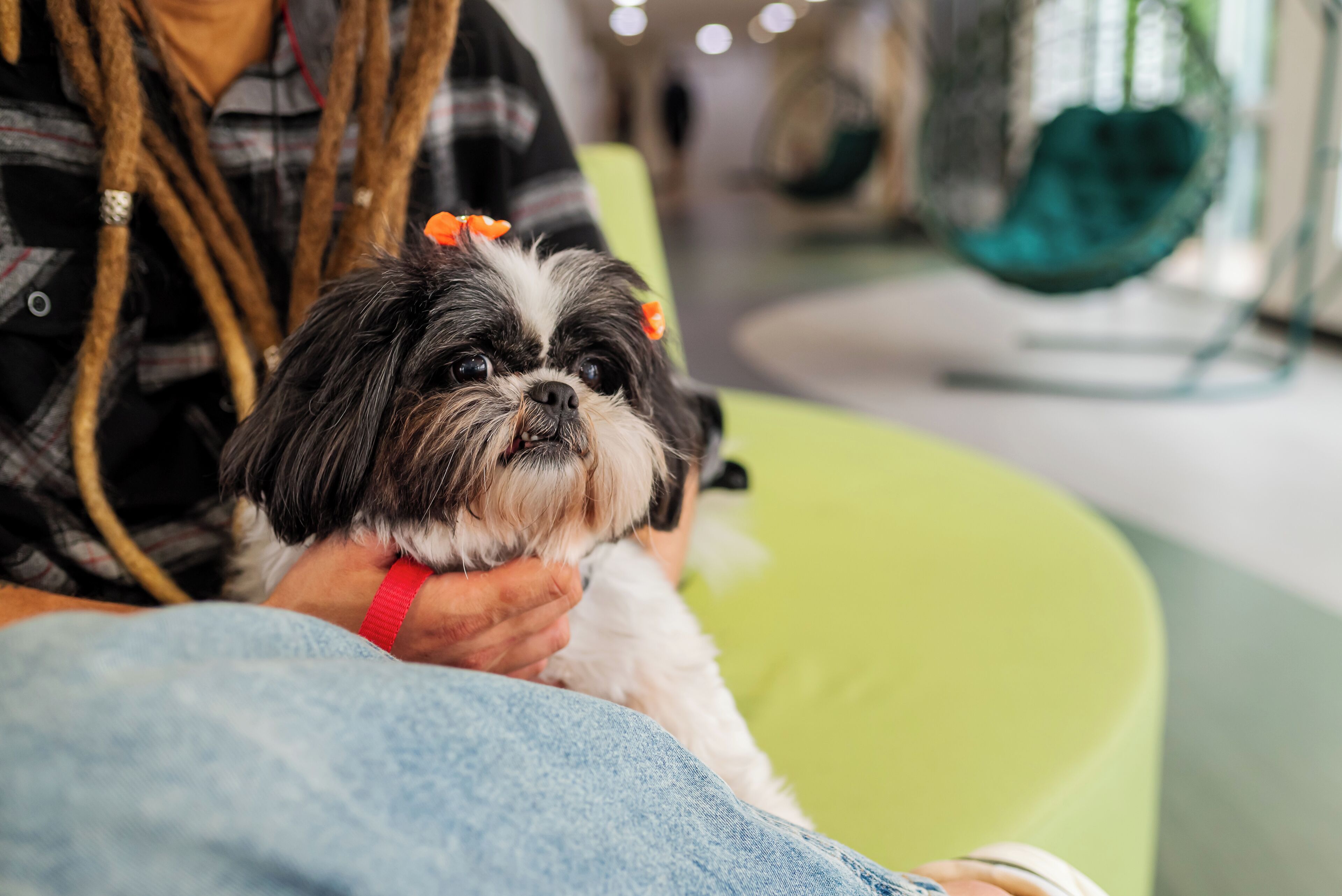 Foto - Ibis Styles Campinas Alphaville