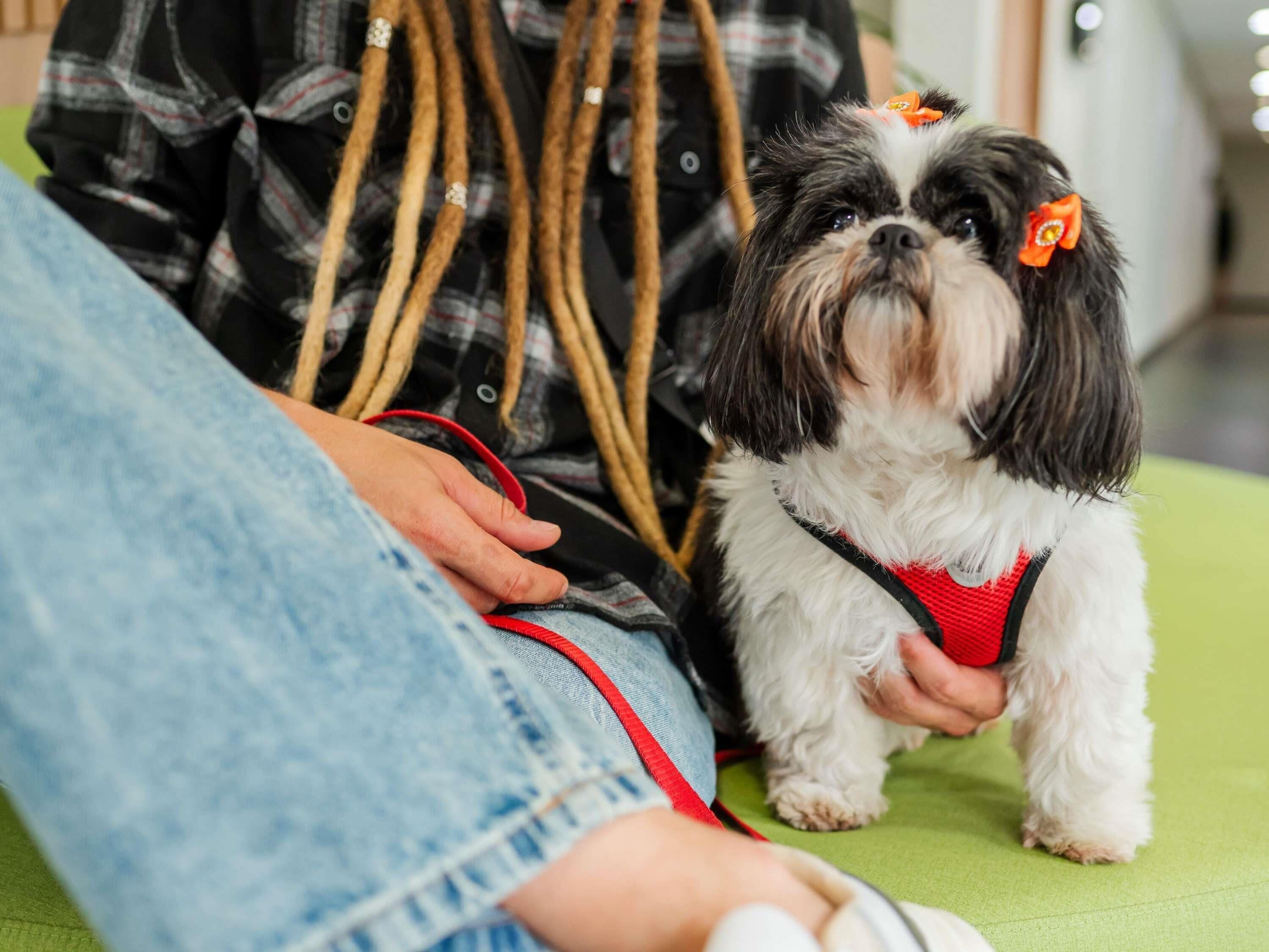 Foto - Ibis Styles Campinas Alphaville