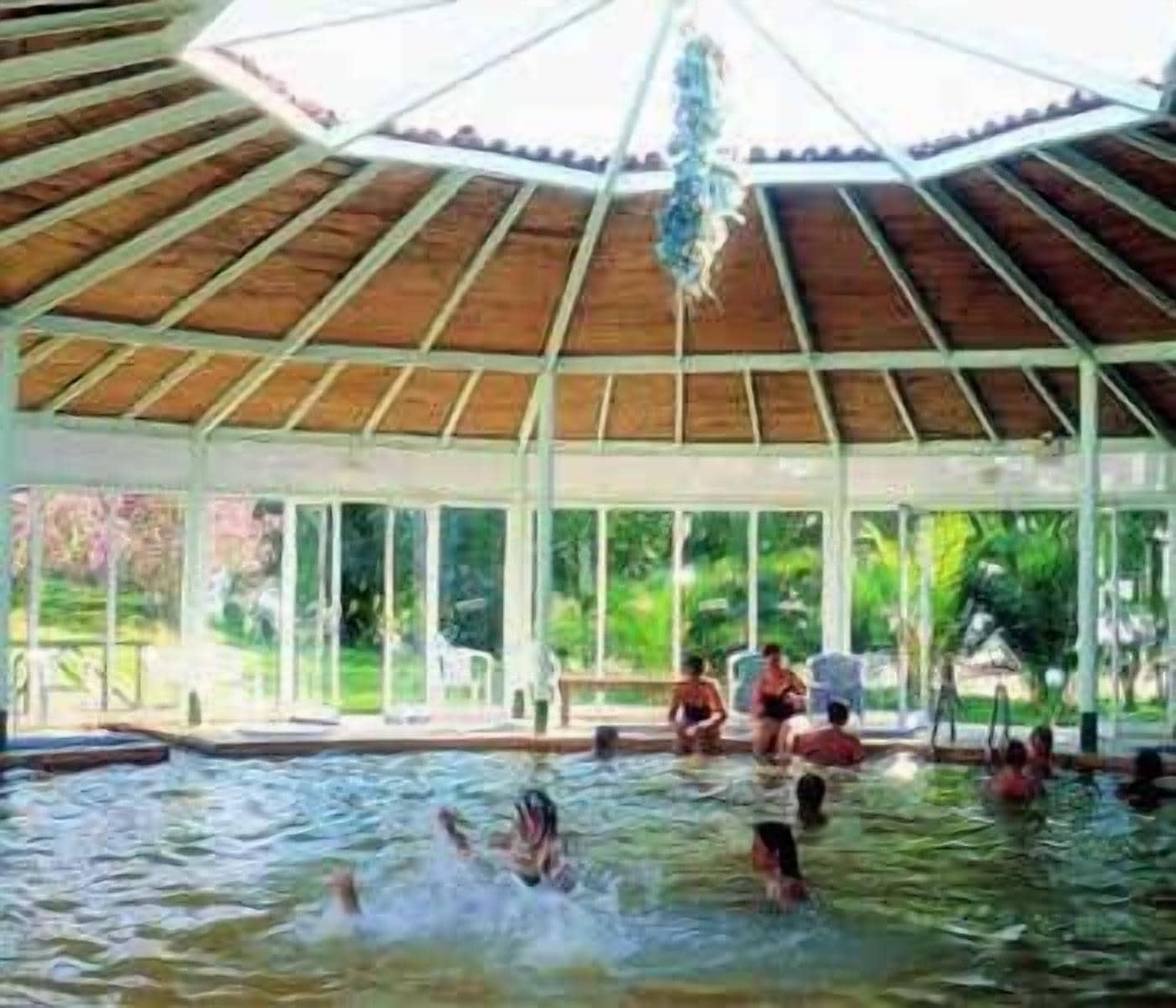 A covered swimming pool with a wooden roof and glass walls, surrounded by greenery.