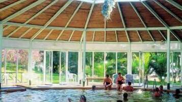 A covered swimming pool with a wooden roof and glass walls, surrounded by greenery.