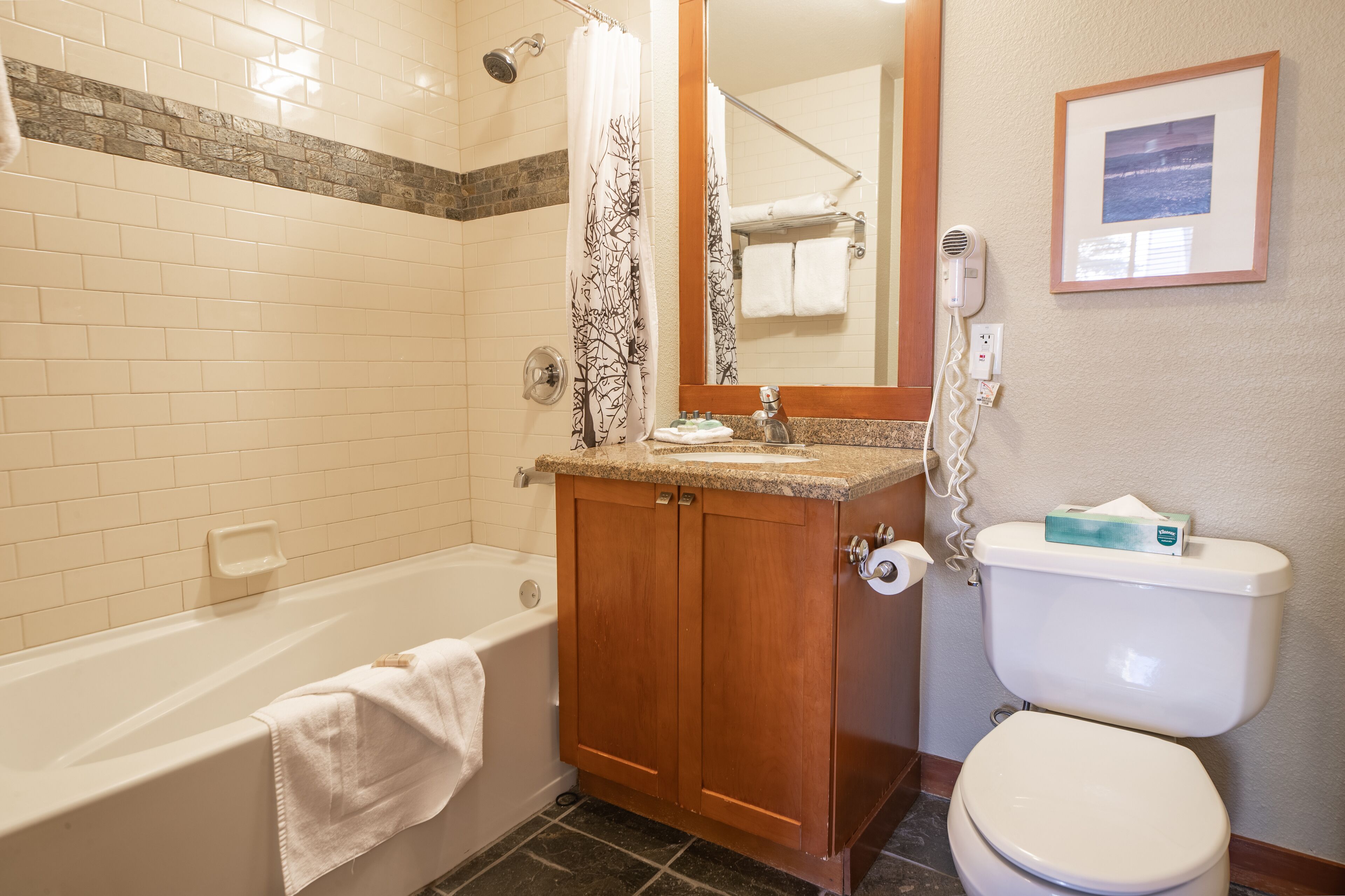 A bathroom with a bathtub, a toilet, a vanity with a sink, a shower curtain, and a framed picture on the wall.