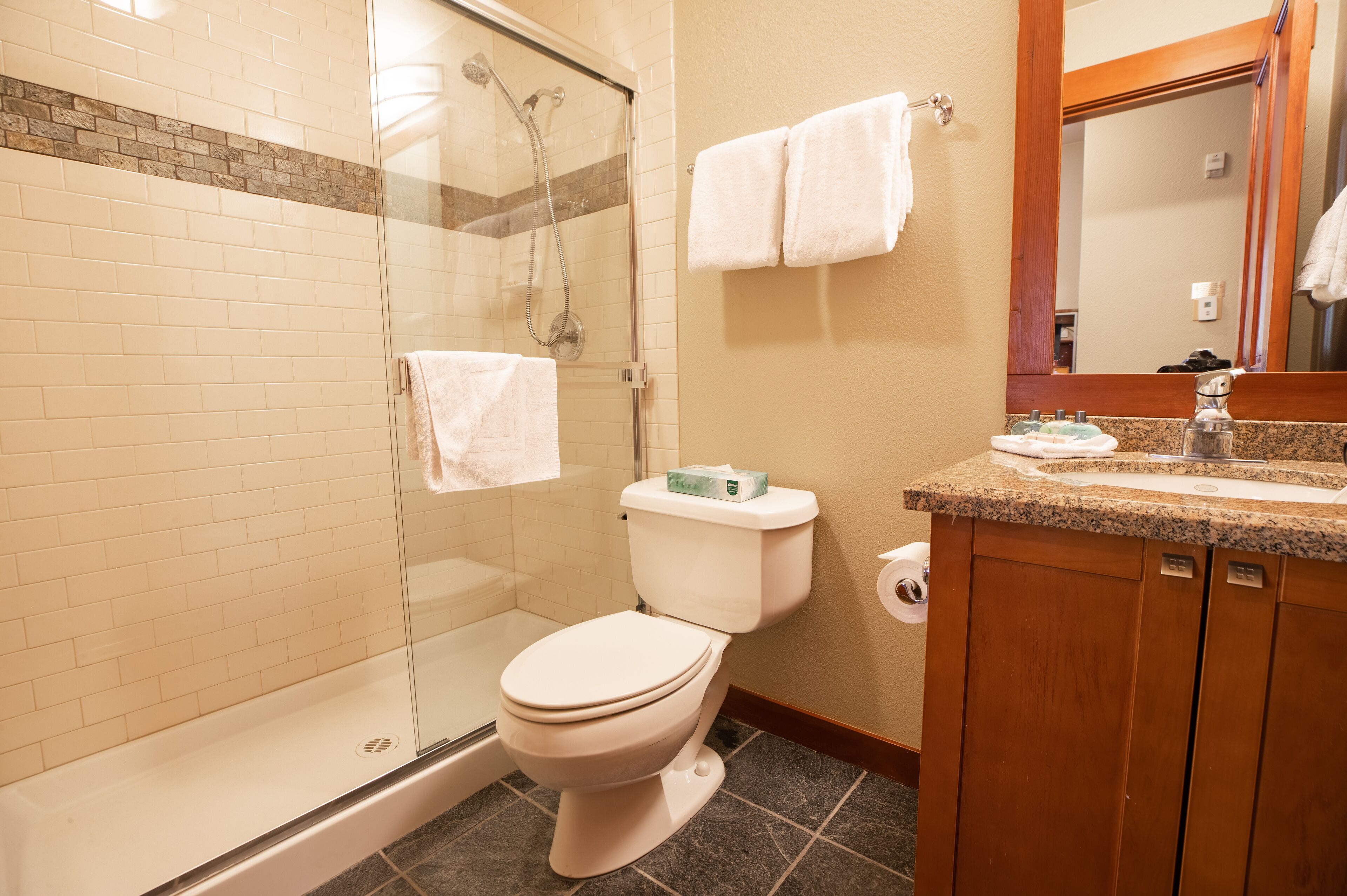 A bathroom with a glass-enclosed shower, a toilet, a sink with a granite countertop, and a mirror above the sink.