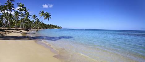 On the beach, beach umbrellas, beach towels, scuba diving