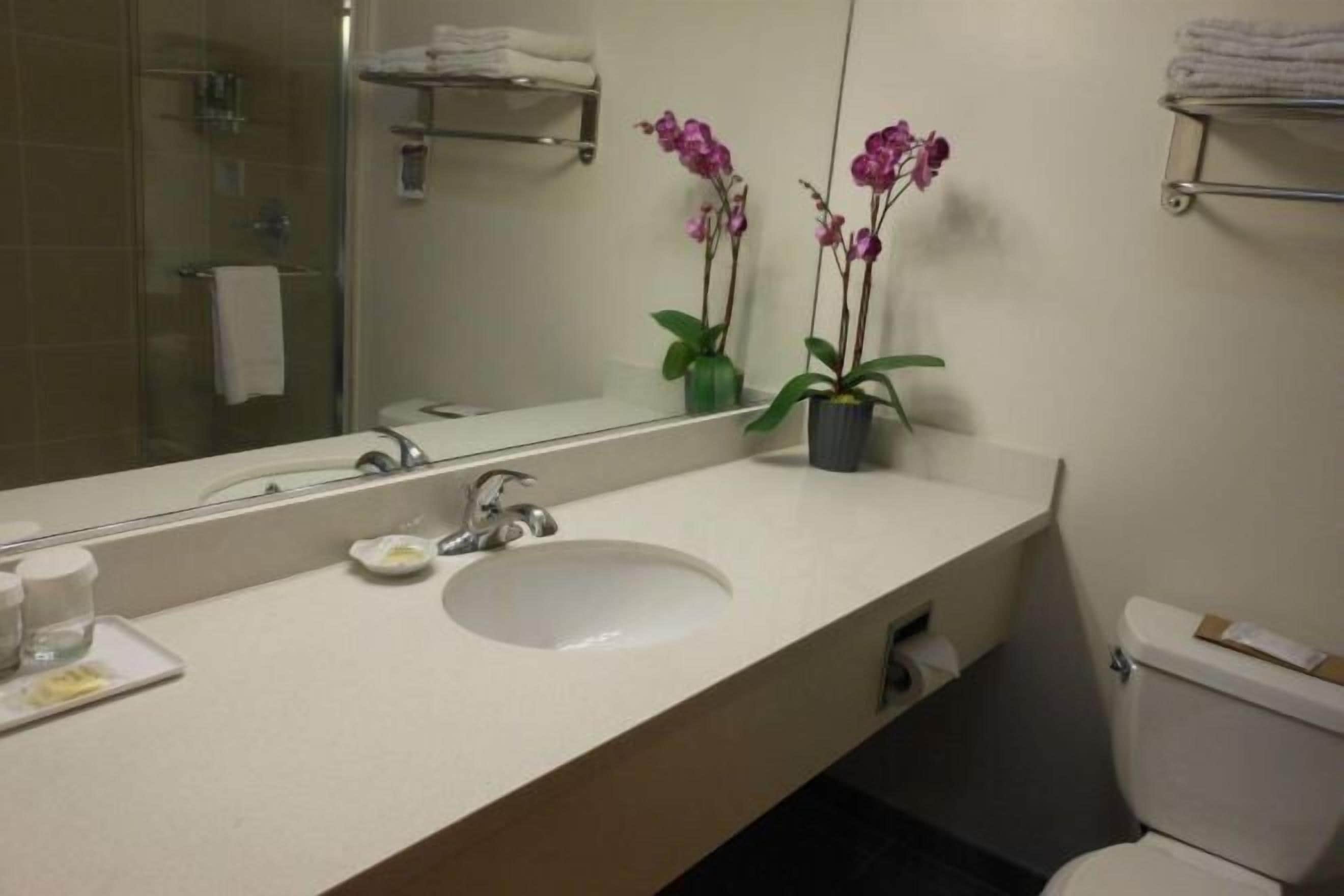 Bathroom | Free toiletries, hair dryer, towels