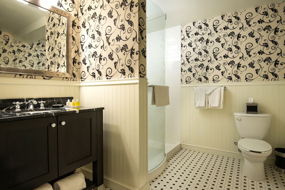 free toiletries, hair dryer, towels