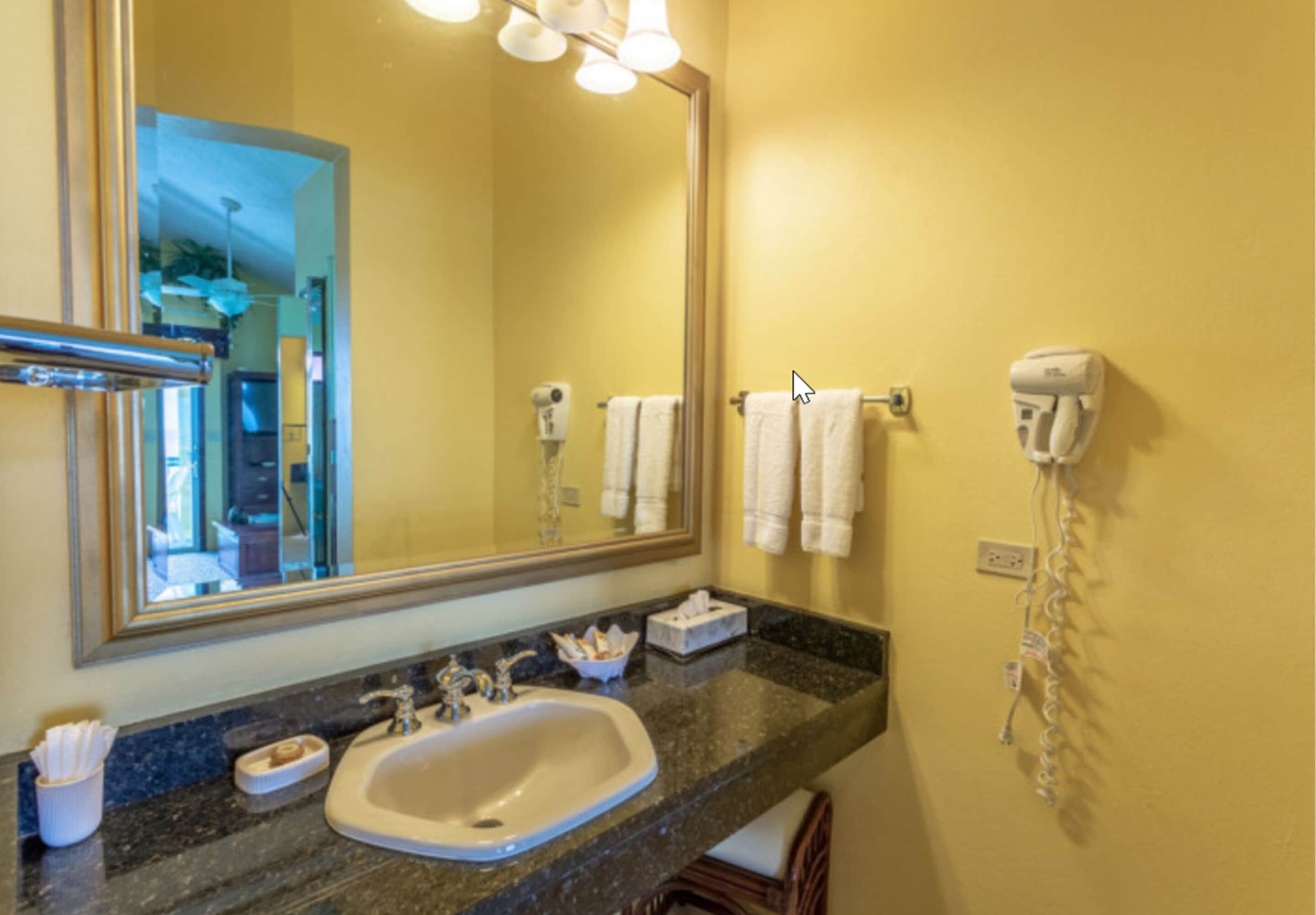 deluxe suite, 1 king bed with sofa bed, ocean view (cliffside) | bathroom | free toiletries, hair dryer, towels