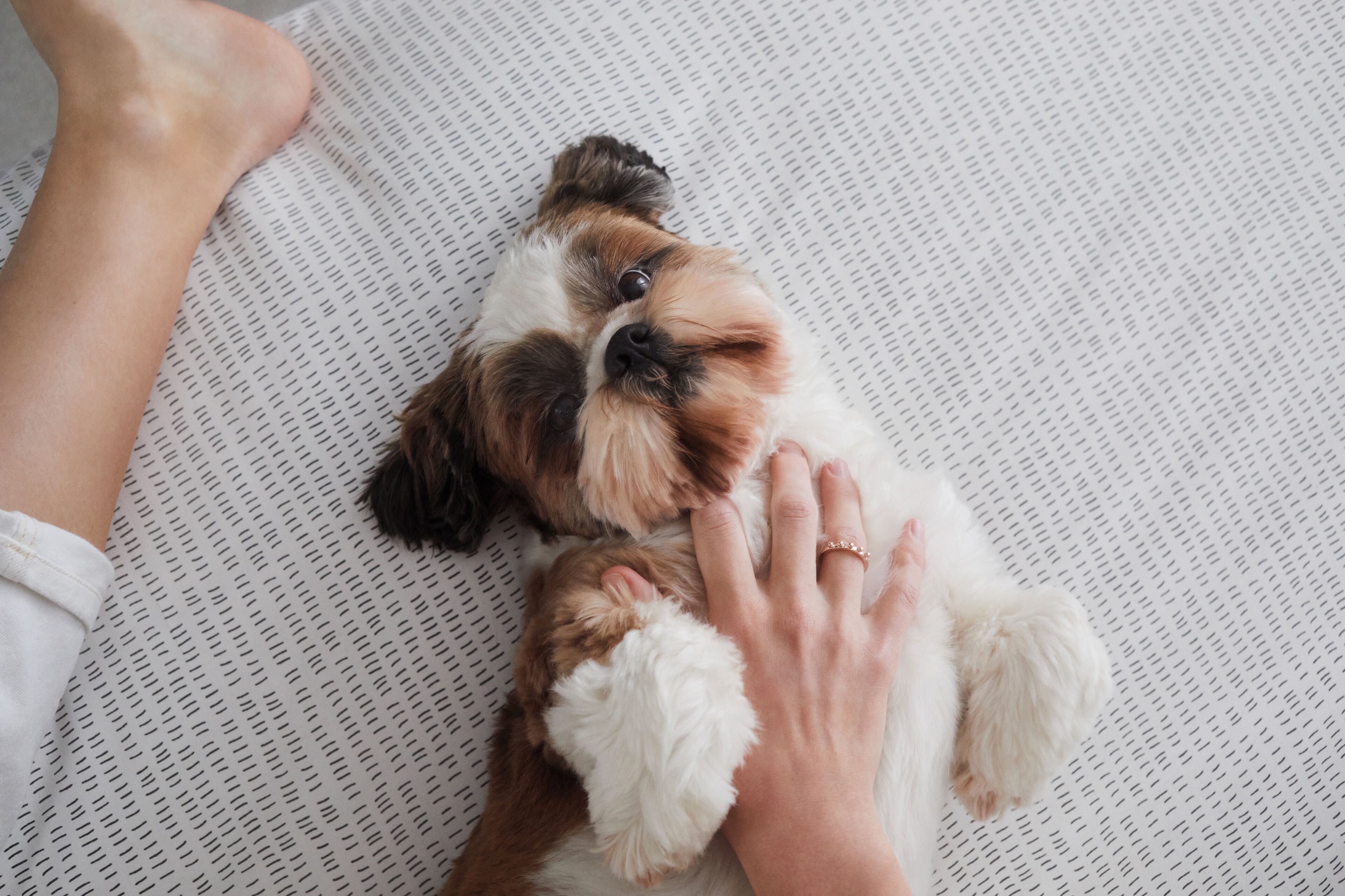 Photo - Hotel München City Center affiliated by Meliá