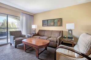 电视、DVD 播放器