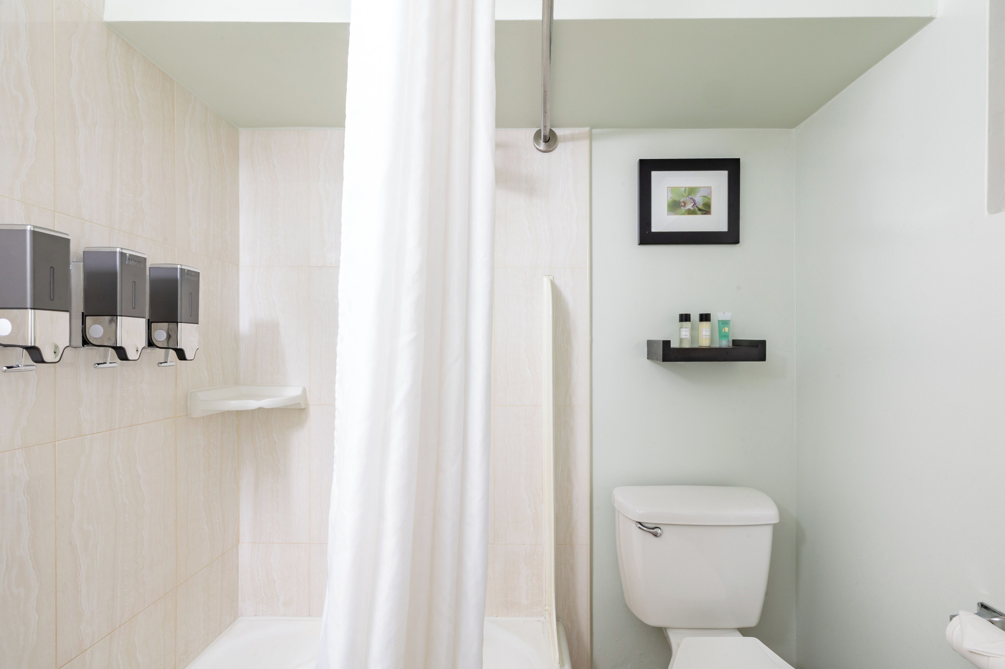A bathroom with a toilet, a shower curtain, a framed picture, and a shelf with toiletries.