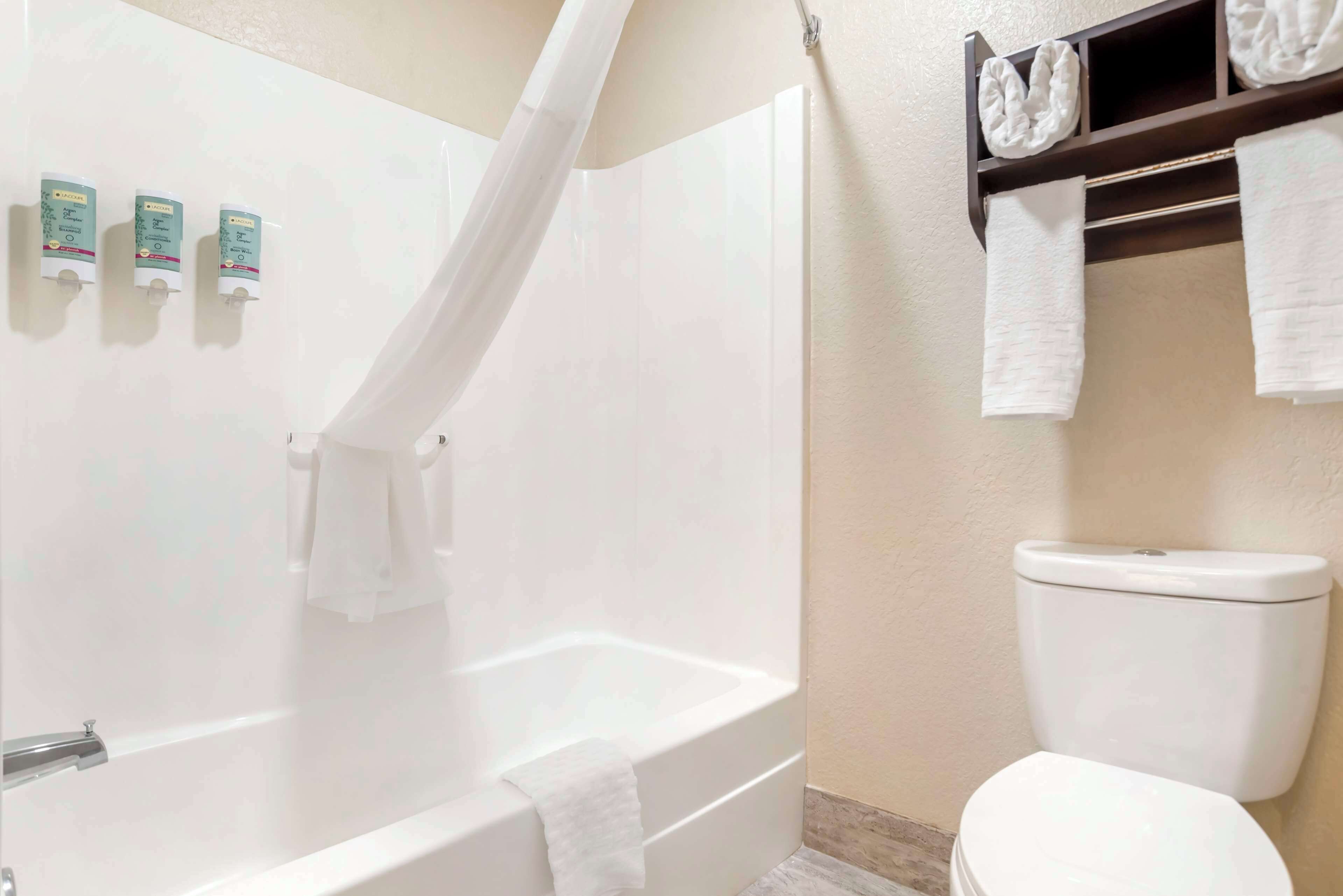 combined shower/bathtub, free toiletries, hair dryer, towels
