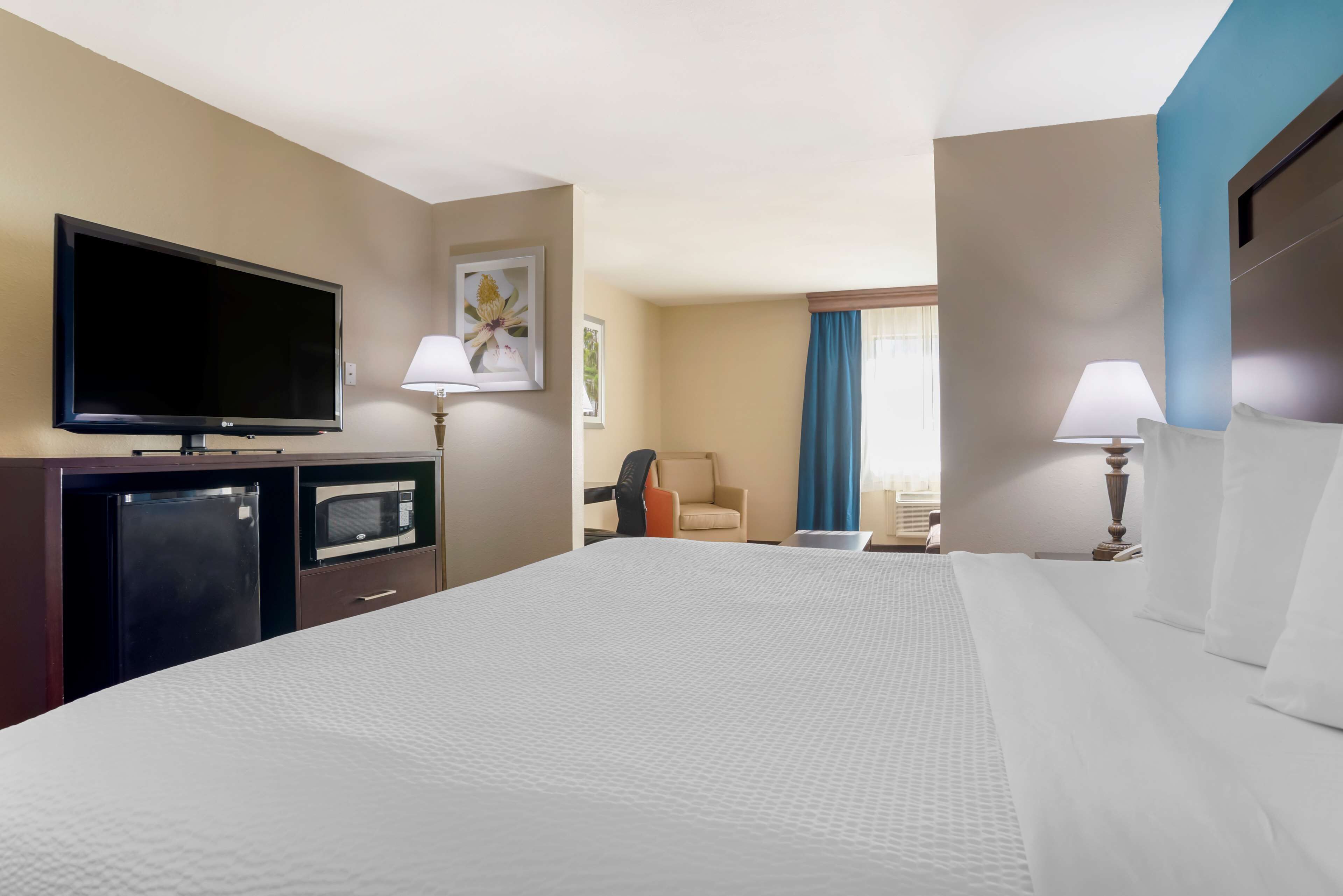 A hotel room with a large bed, a flat-screen TV, a microwave, a desk, and a chair.