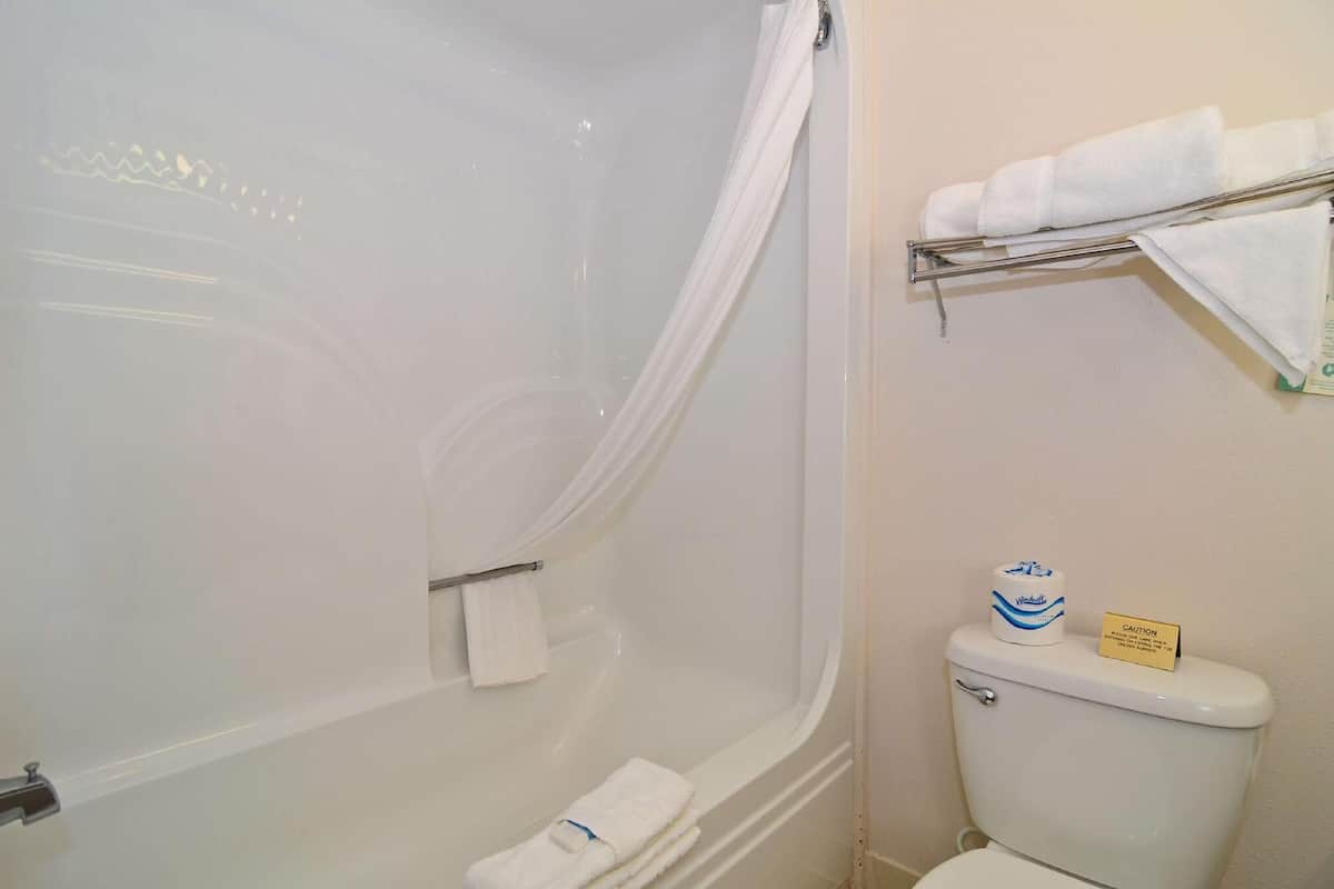 Bathroom | Combined shower/tub, hydromassage showerhead, free toiletries