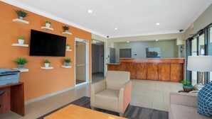 Un hall de hotel con mostrador de recepción, televisor de pantalla plana, varias plantas en macetas, zona de estar con sofá y sillón, y mesa de centro de madera.