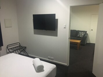 Television