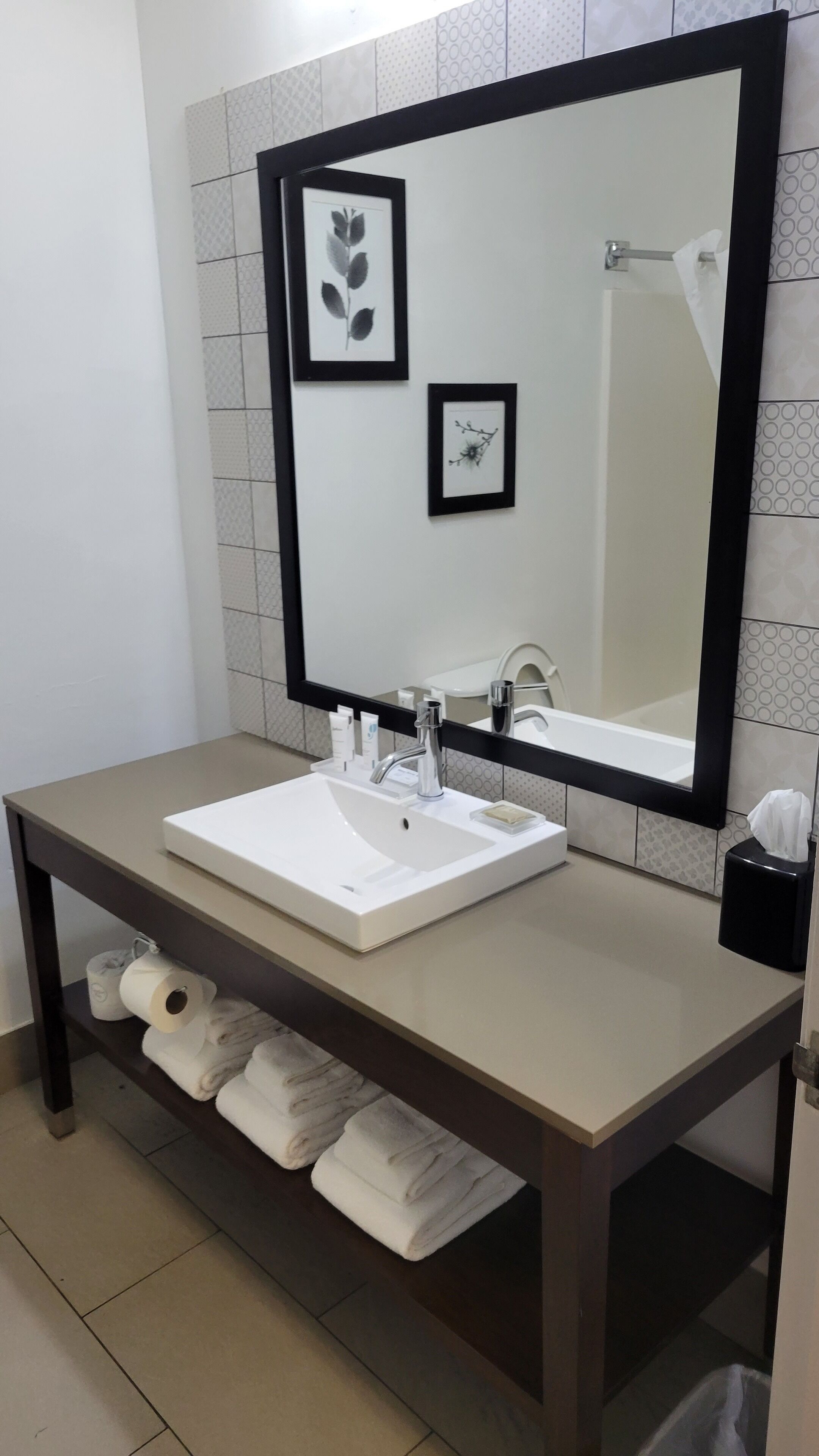 Un baño con un lavamanos blanco, un espejo grande y dos láminas botánicas enmarcadas en la pared.