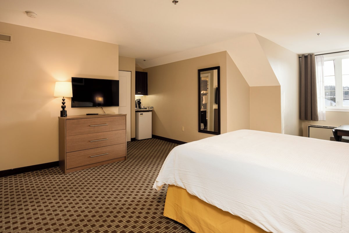 Une chambre d’hôtel avec un lit, une commode, une télévision, un bureau et une fenêtre avec des rideaux.
