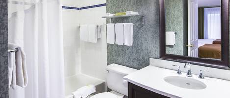 A bathroom with a shower, toilet, sink, and a mirror reflecting a bedroom.