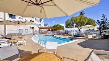 Outdoor pool, sun loungers
