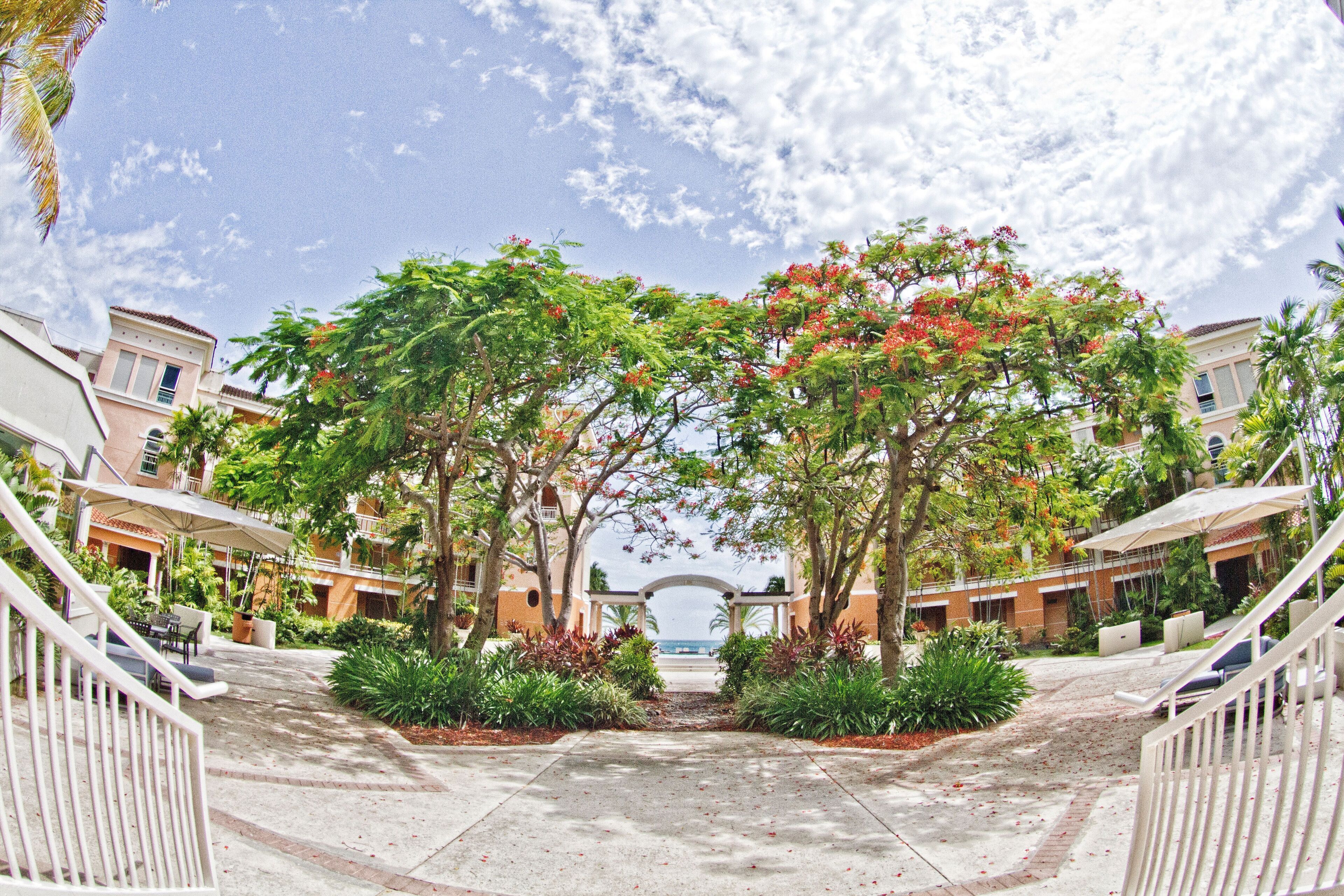 A pathway leading to a building with a covered entrance, surrounded by lush greenery and red flowering plants.