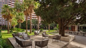 Un patio al aire libre con mesas y sillas, rodeado de palmeras y un edificio al fondo.