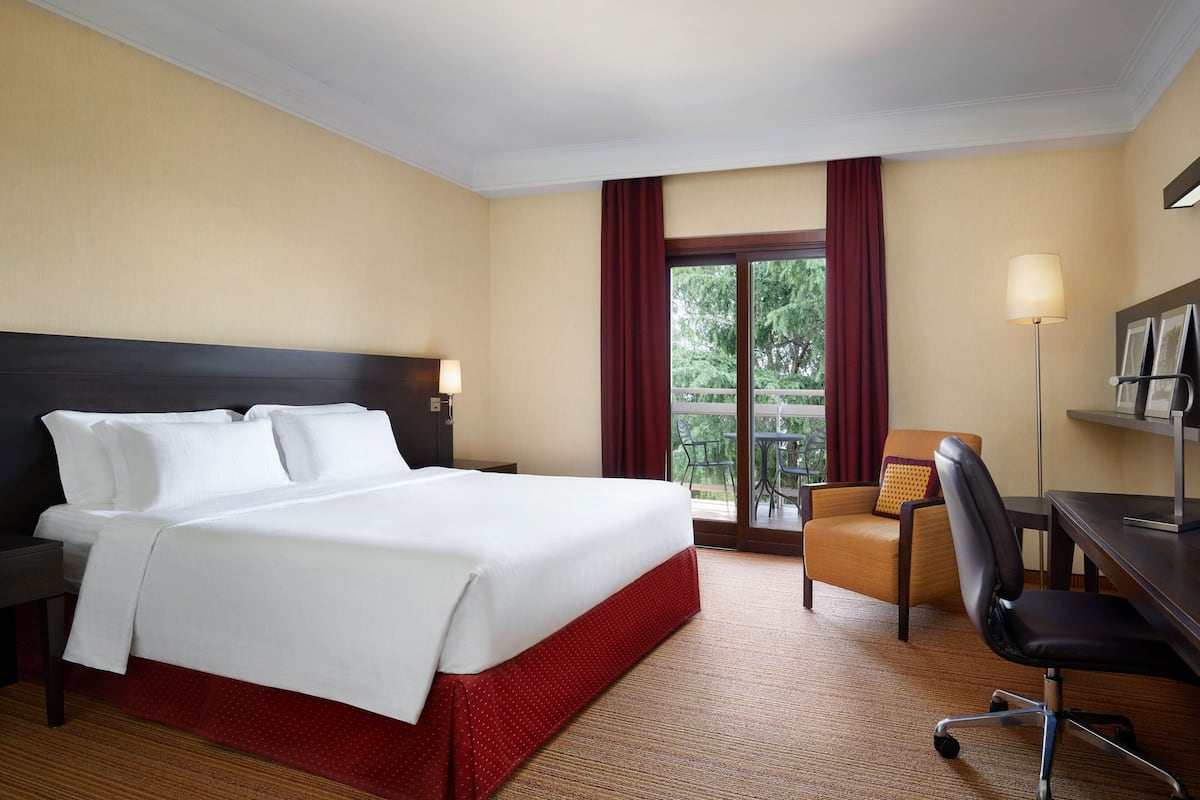 Room, 1 King Bed