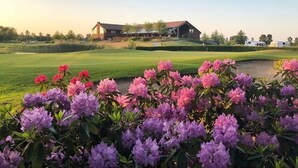 A golf course with a clubhouse and a pond with purple flowers in the foreground. - Sport - und Tagungshotel De Poort (Goch)