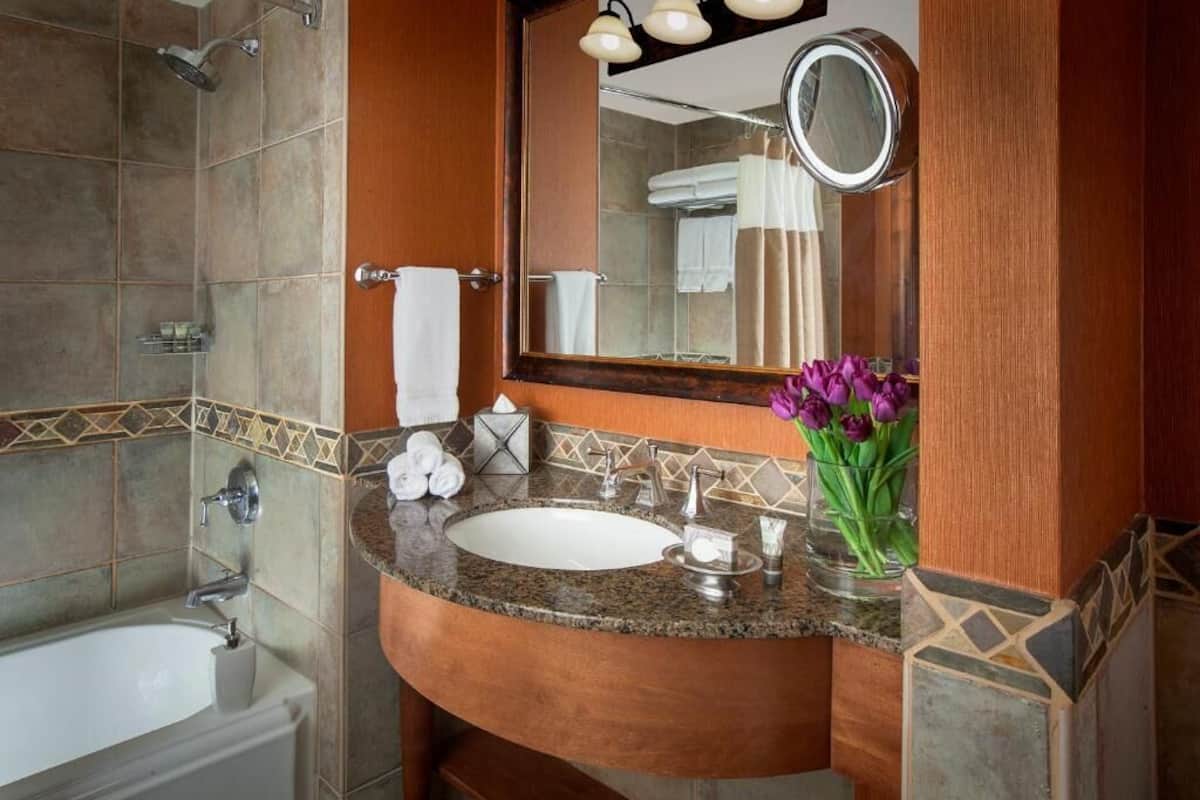 designer toiletries, hair dryer, bathrobes, towels