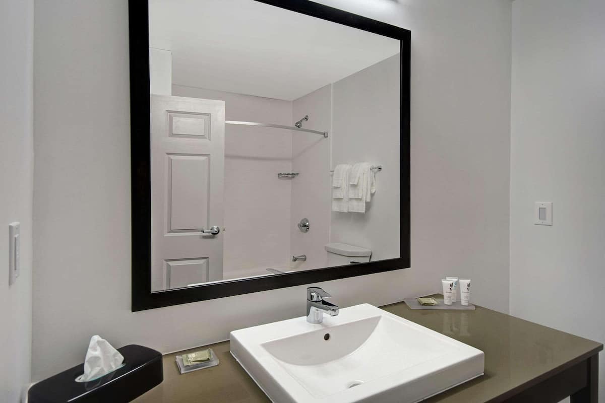 combined shower/bathtub, free toiletries, hair dryer, towels