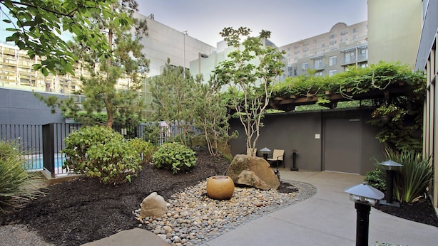Un espace extérieur aménagé avec un sentier en pierre, un grand vase décoratif et divers arbustes et arbres.