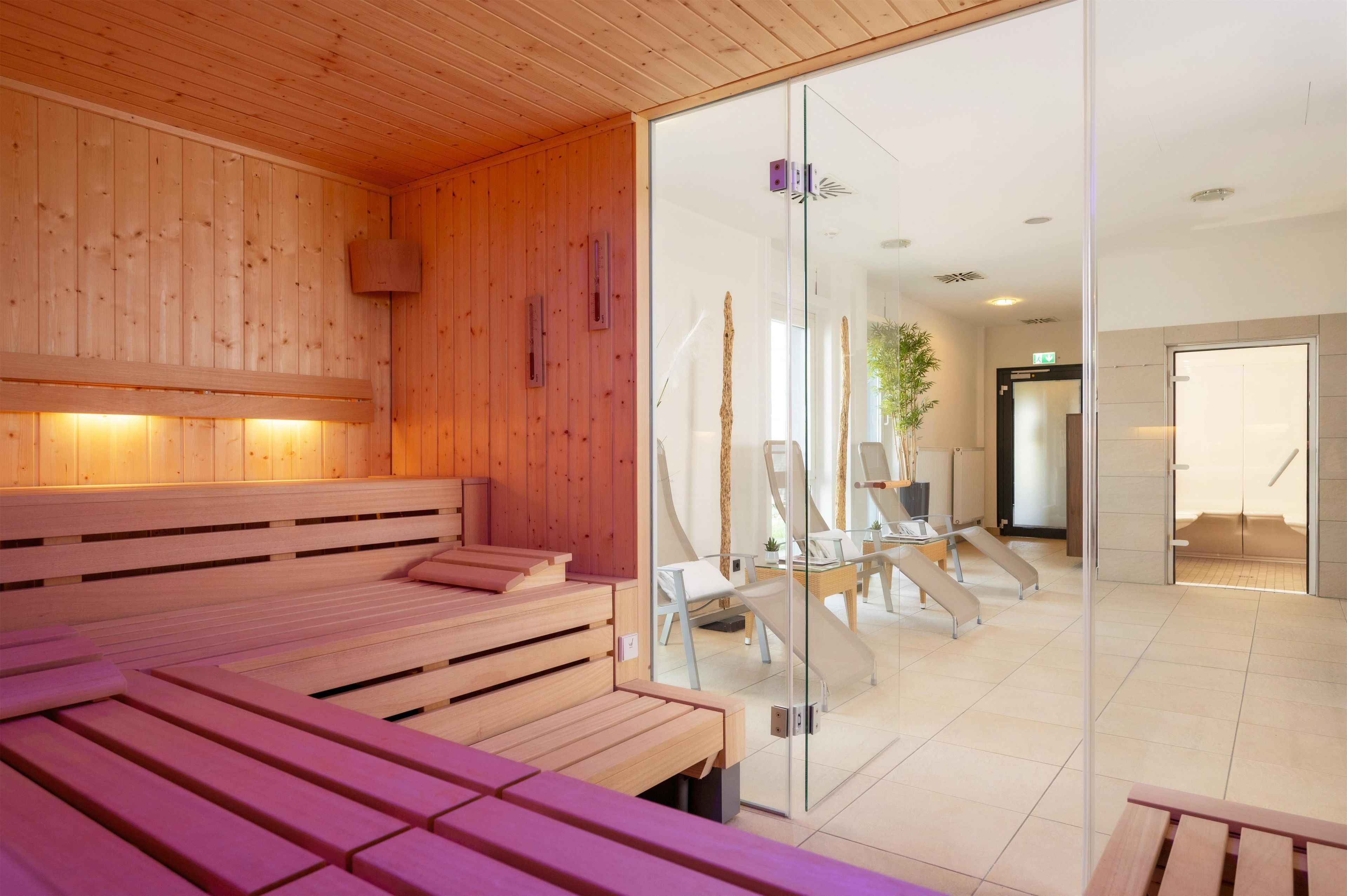 Ein Saunaraum mit Holzbänken und einer Glasabtrennung.