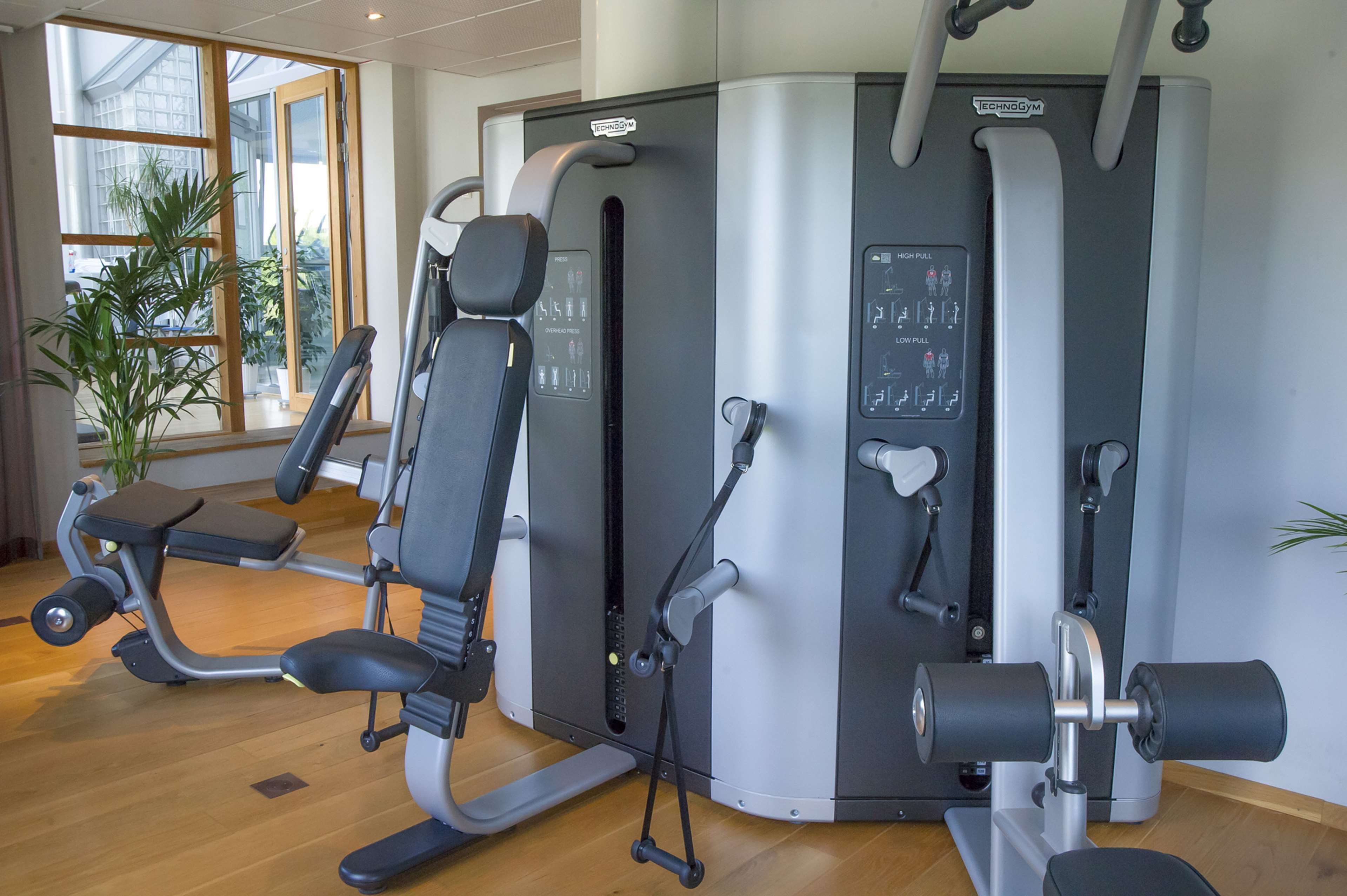 Un gimnasio con equipo de ejercicio, una banca y un amplio ventanal con plantas.
