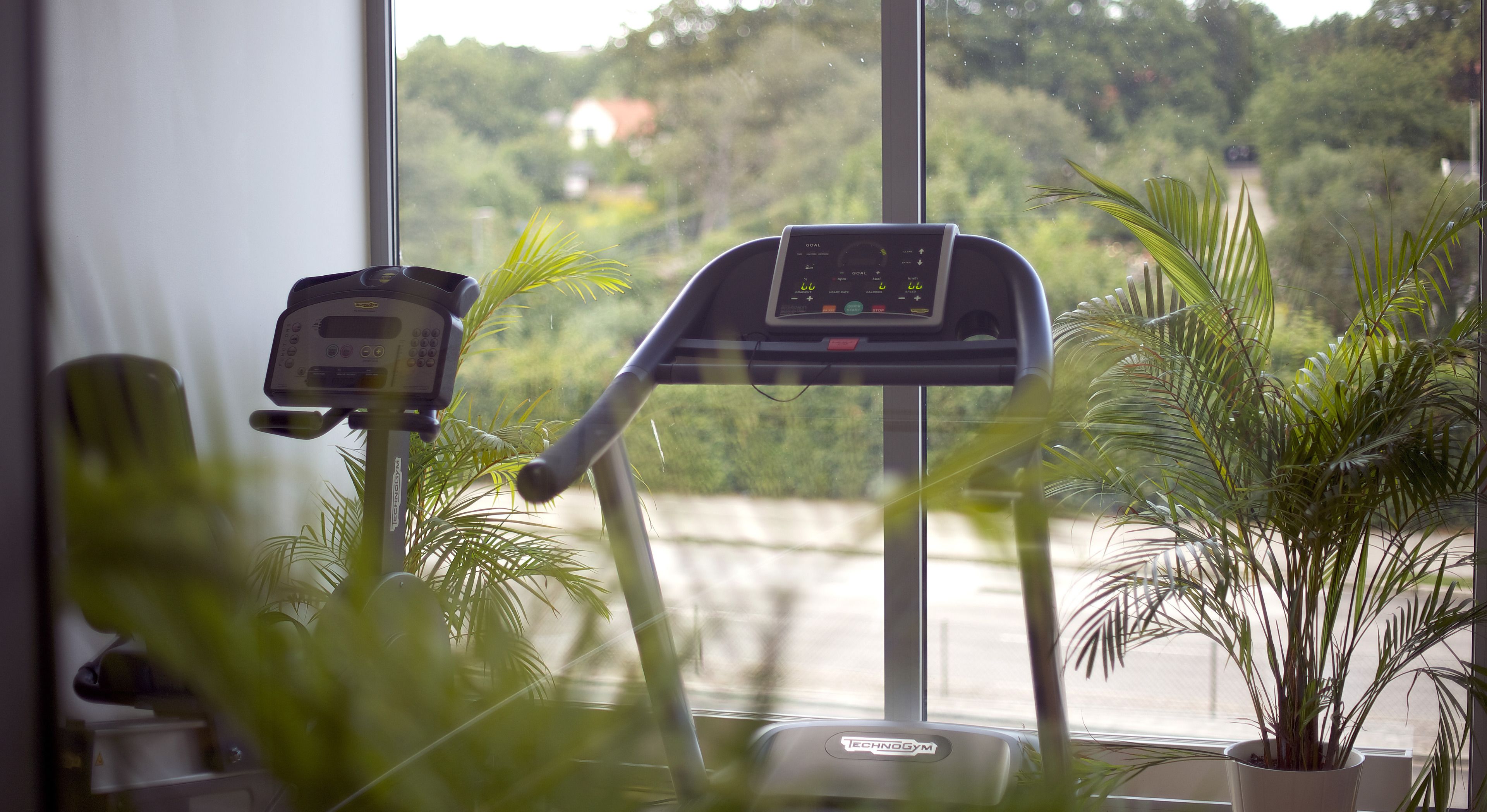 A stationary bike with a digital display, a wall-mounted heart rate monitor, and potted plants in a room with a large window.