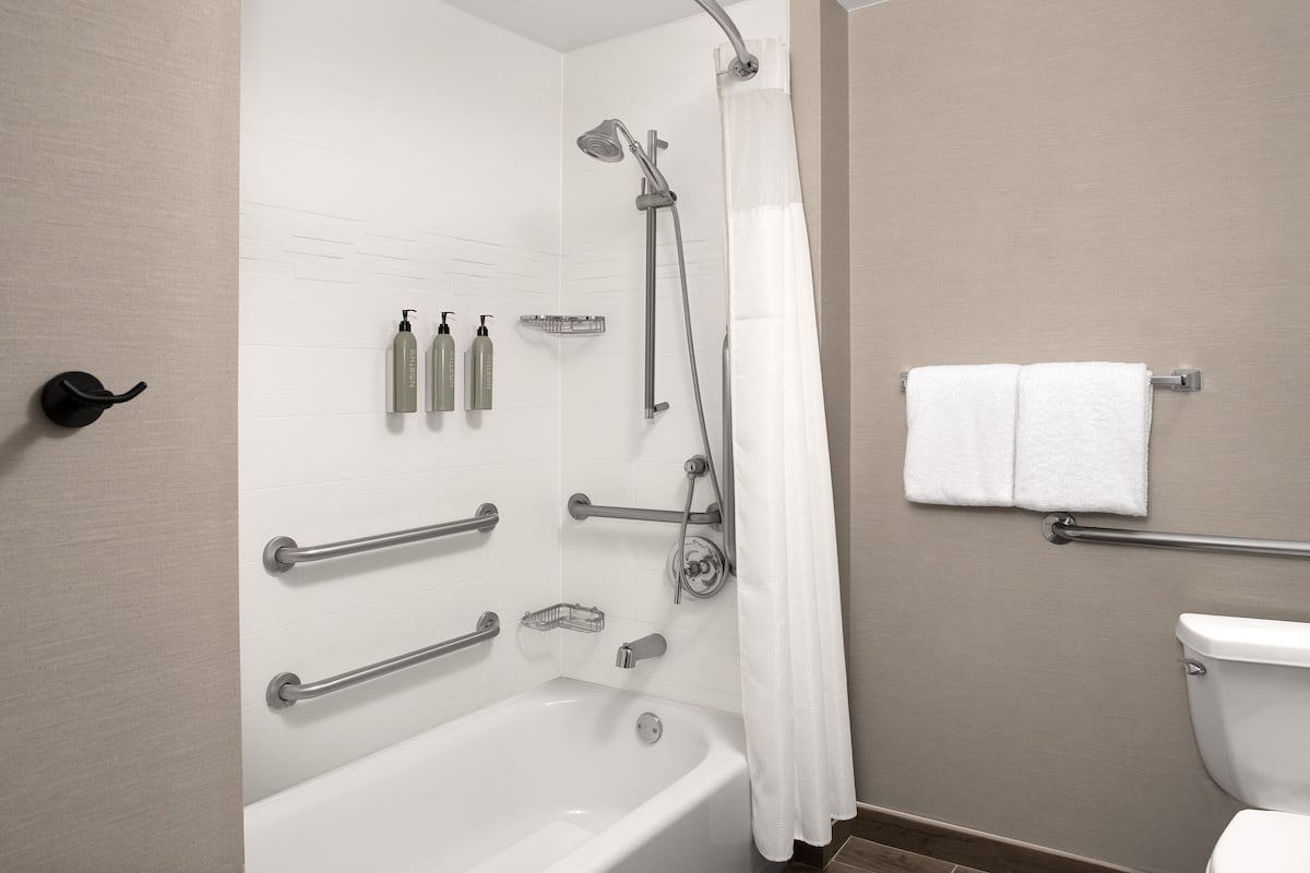 Combined shower/tub, free toiletries, hair dryer, towels