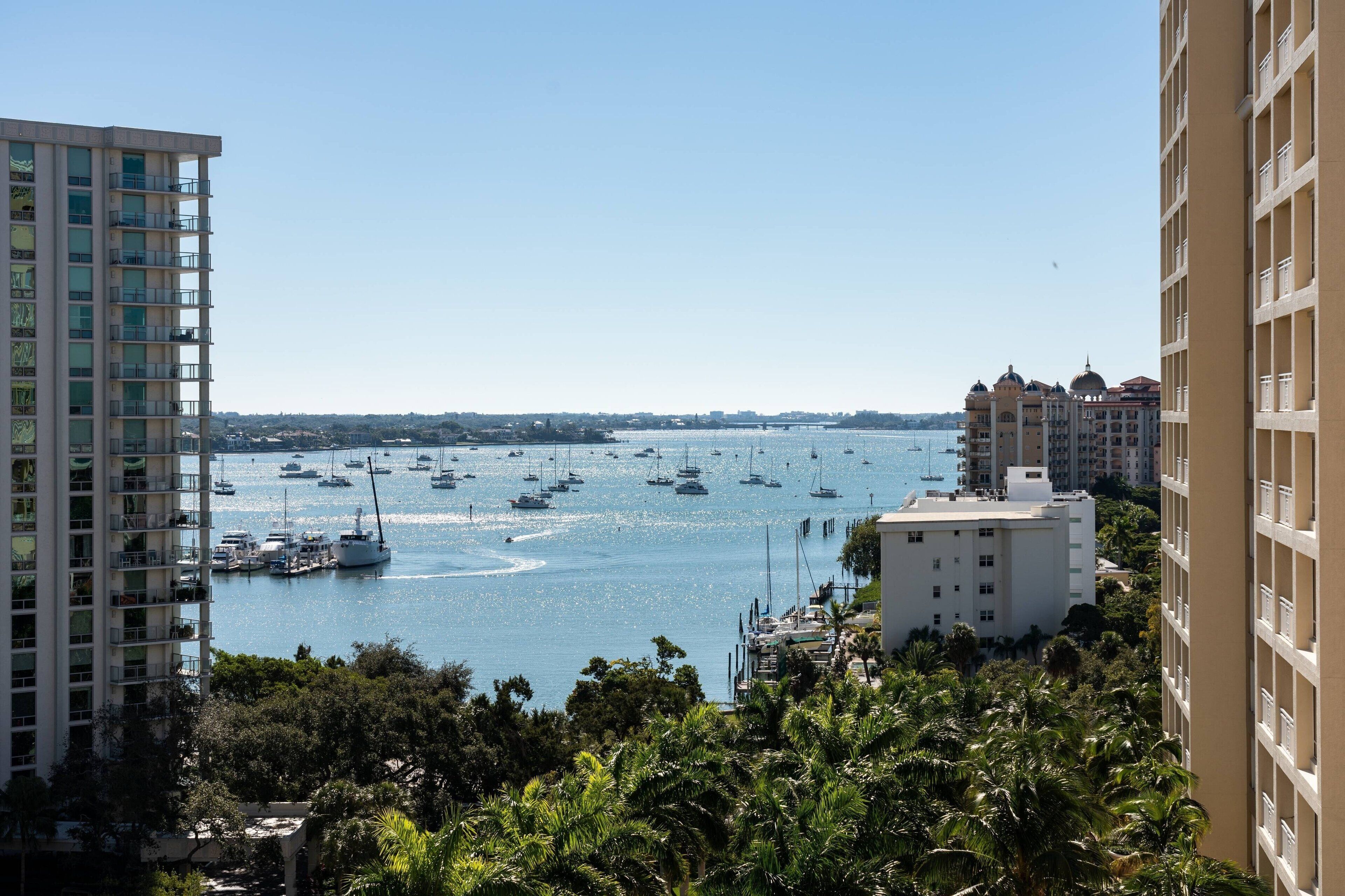 A marina with multiple boats, surrounded by high-rise buildings and dense greenery.
