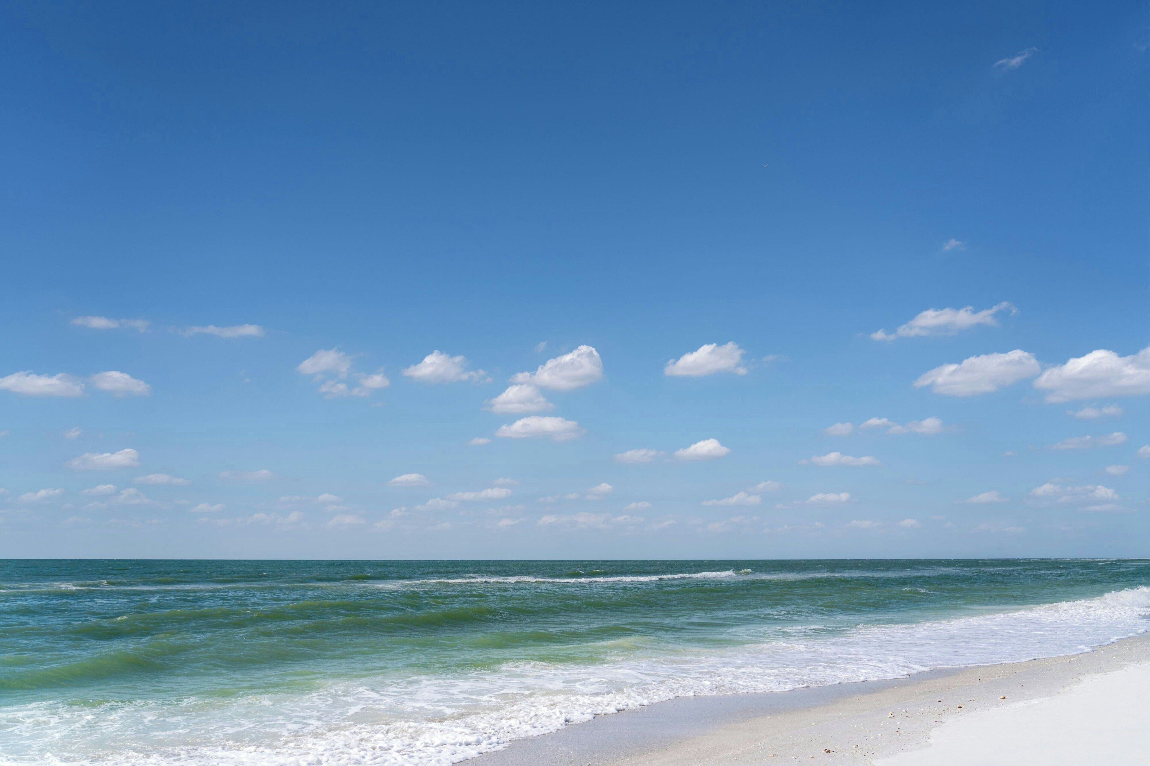 A beach with clear skies and gentle waves.