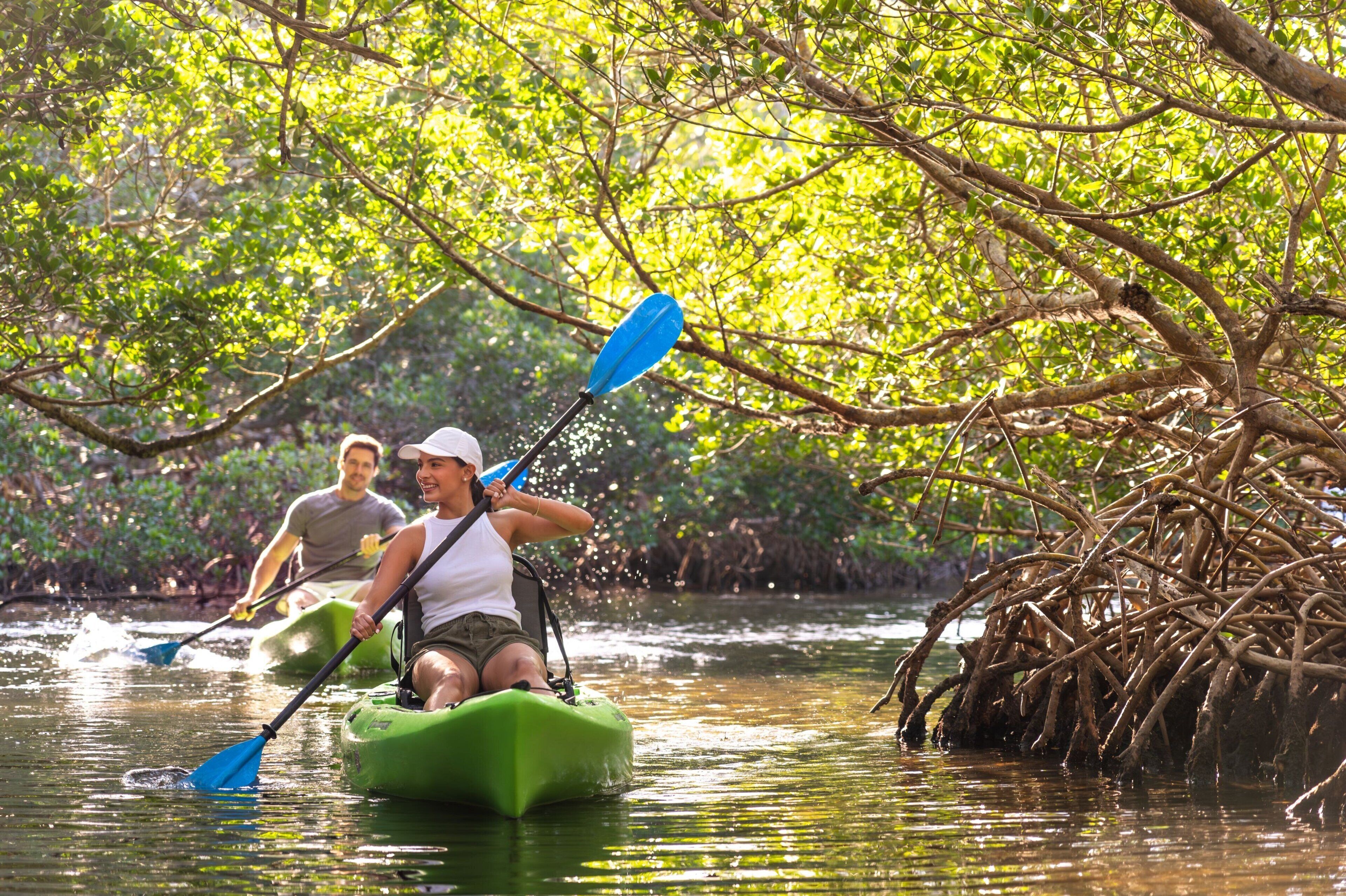 Deux personnes pratiquent le kayak sur une rivière bordée de mangroves.