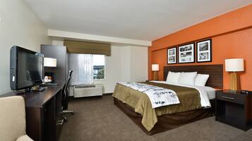 Standard Room, 1 King Bed, Non Smoking | Desk, iron/ironing board, rollaway beds, free WiFi