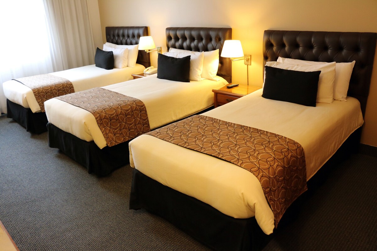Habitación estándar, 2 camas individuales | Ropa de cama de alta calidad y edredones de plumas