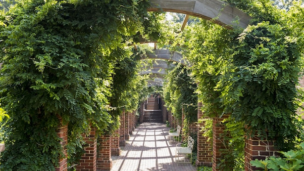 Ein Ziegelweg, gesäumt von Ziegelstützen und üppigem Grün, der zu einer Treppe führt.