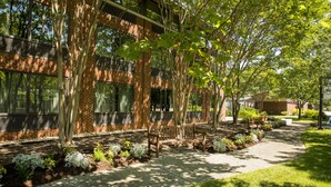 Un edificio de ladrillo con amplios ventanales, un camino empedrado y un área verde con árboles y plantas.