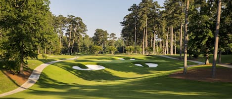 Un campo de golf con extensos greens cuidados, búnkeres de arena y altos árboles.