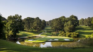 Un campo de golf con un estanque, árboles y un puente.