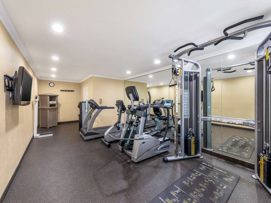 A gym with treadmills, elliptical machines, and weightlifting equipment.