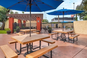 Outdoor pool, open 10:00 AM to 9:30 PM, pool loungers
