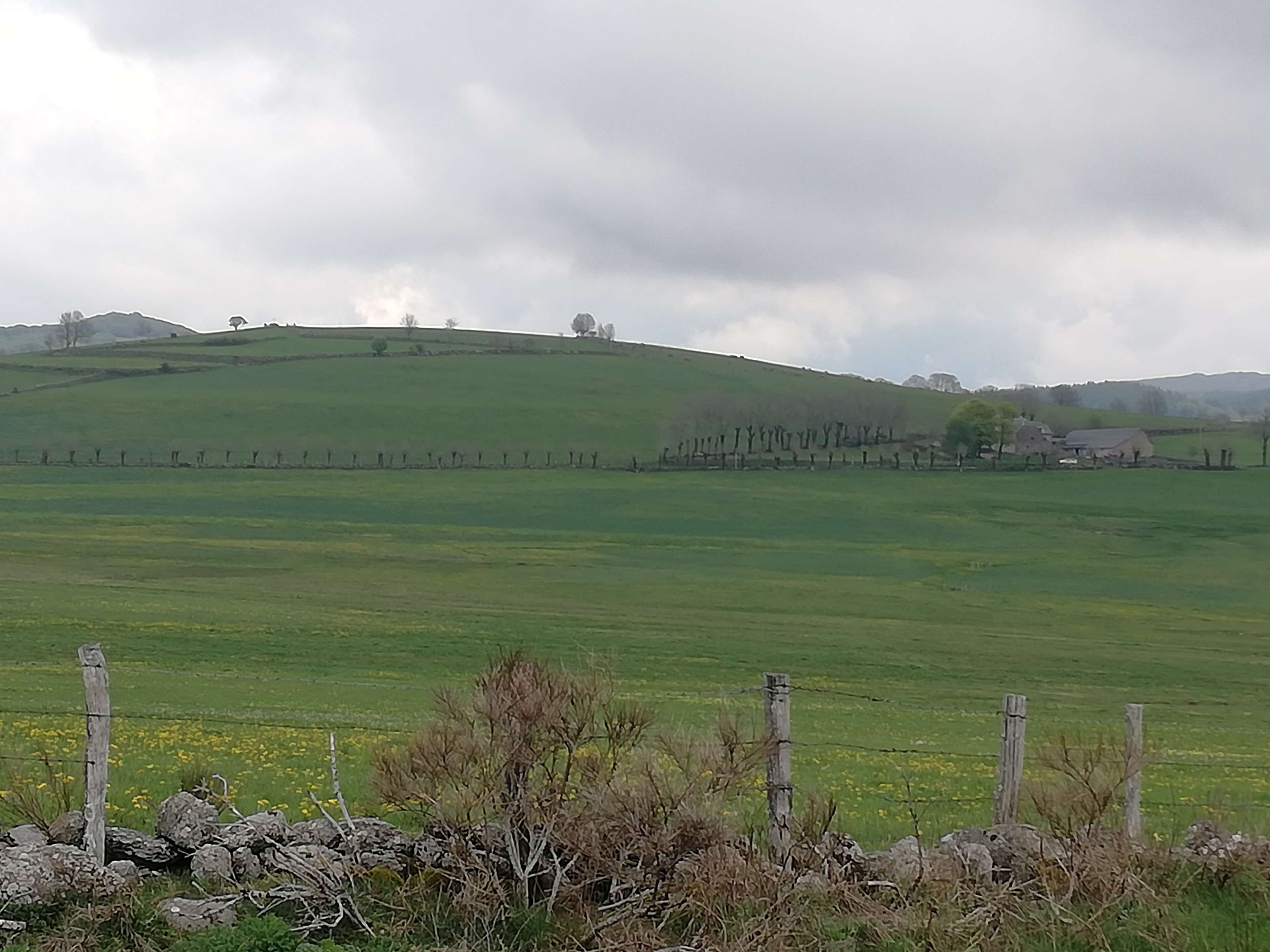 A rural landscape with a green field, a stone wall, and a wooden fence.