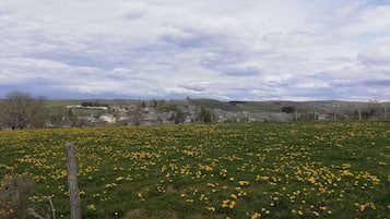 Ländliche Landschaft mit einem Feld gelber Blumen und einer in der Ferne liegenden Stadt.